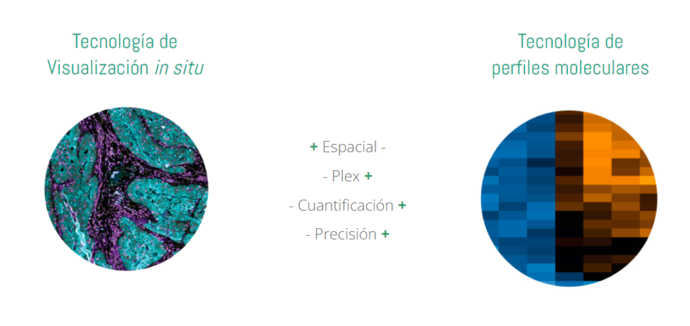 GeoMx Digital Spatial Profiler | Nanostring | Citogen